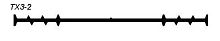 Гидрошпонка АКВАСТОП тип ТХЗ-2 EPDM (резина) – ТСК Дипломат
