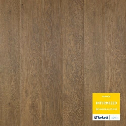 Ламинат Дуб Аккорд осенний Intermezzo Tarkett (Таркетт)