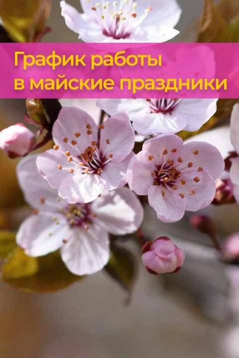 Поздравляем с майскими праздниками!