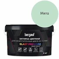 ELAST PREMIUM, 2 кг, Затирка водоотталкивающая противогрибковая, Bergauf, Мята – ТСК Дипломат