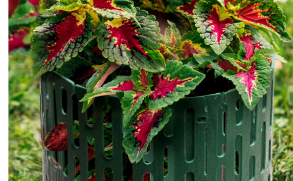 Ограждение Защита кустов и деревьев коричневое, Стандартпарк