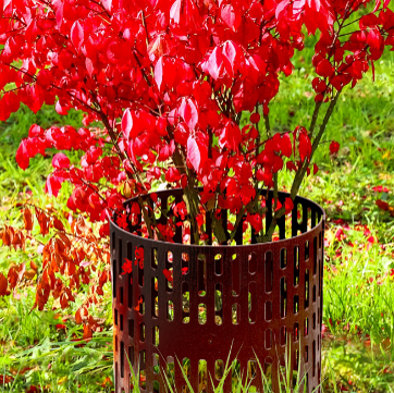 Ограждение Защита кустов и деревьев коричневое, Стандартпарк