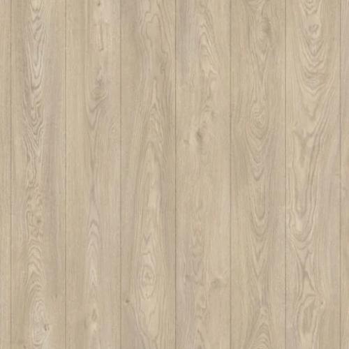 Classen Naturale 1874196 Дуб молодой