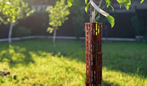 Ограждение Защита кустов и деревьев зеленое, Стандартпарк