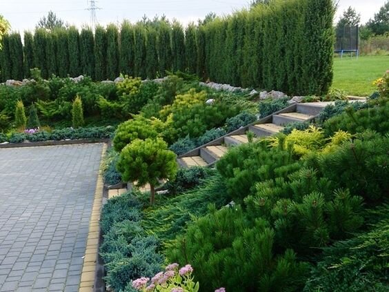 Склоны прежде всего нуждаются в укреплении