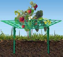 Подставка под клубнику, Стандартпарк