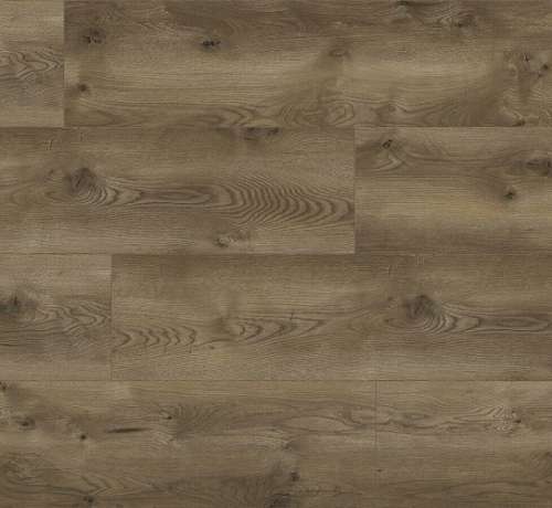 Classen Evolution WR 63110 Дуб Сиена