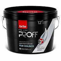 Краска BRITE PROFESSIONAL для потолков матовая база А, банка 2,7 л