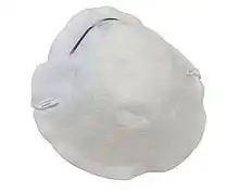 Респиратор лепестковый